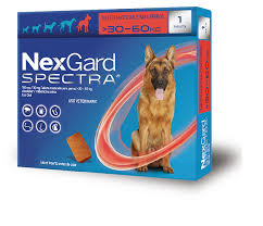 NEXGARD SPECTRA 30-60 KG T XL
