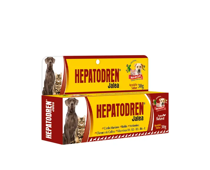 HEPATODREN JALEA TUBO 30G