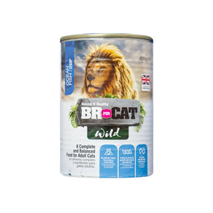 LATA BR FOR CAT WILD OCEAN FISH(PESCADO)*400GR