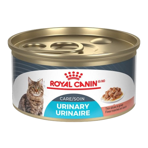 ROYAL CANIN GATO FCN URINARY CARE LATA 85 GRAMOS