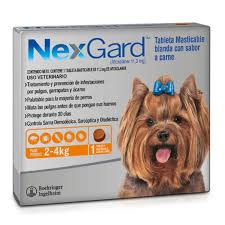 NEXGARD 2-4 KG