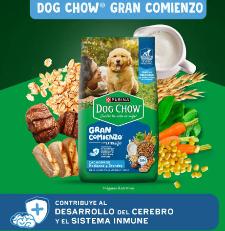 DOG CHOW GRAN COMIENZO CACH MED Y GRANDES 8KG