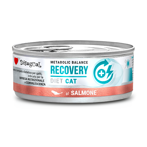 DISUGUAL GATO RECOVERY SALMON LATA 85 GRAMOS