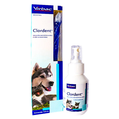 CLORDENT SPRAY 120ML