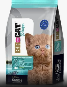 BR FOR CAT GATITOS SALMON 1KG