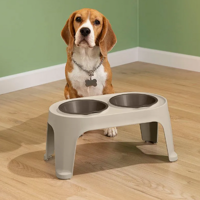 COMEDERO ALTO PARA PERRO M TP