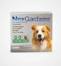 NEXGARD CHEWABLE 10.1-25 KG ( L ) VERDE