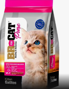 BR FOR CAT GATITOS 1KG