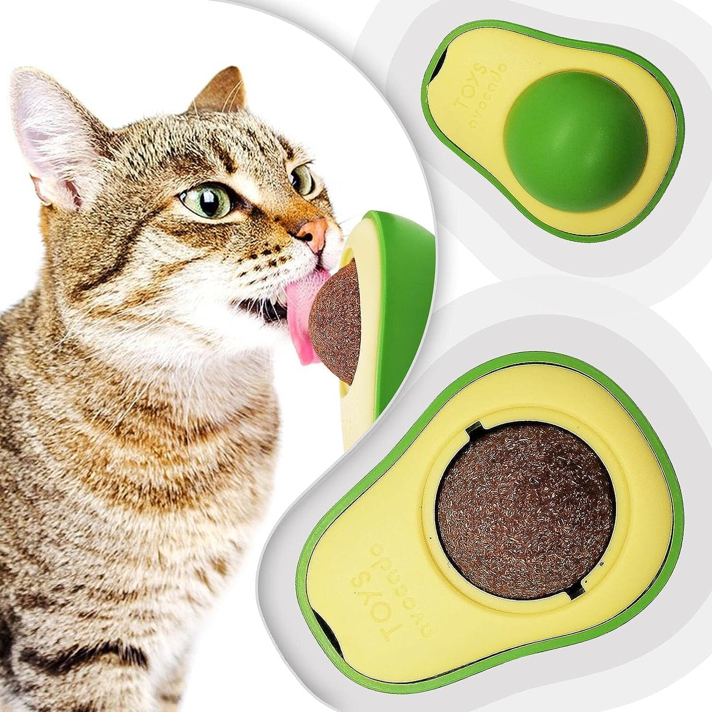 aguacate CANIP