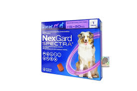 NEXGARD SPECTRA 15-30 KG T L