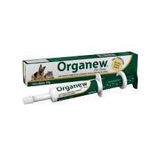 ORGANEW PASTA PET X 12 G