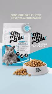 OH MAI GAT CASEROS Y DELICADOS 500GR