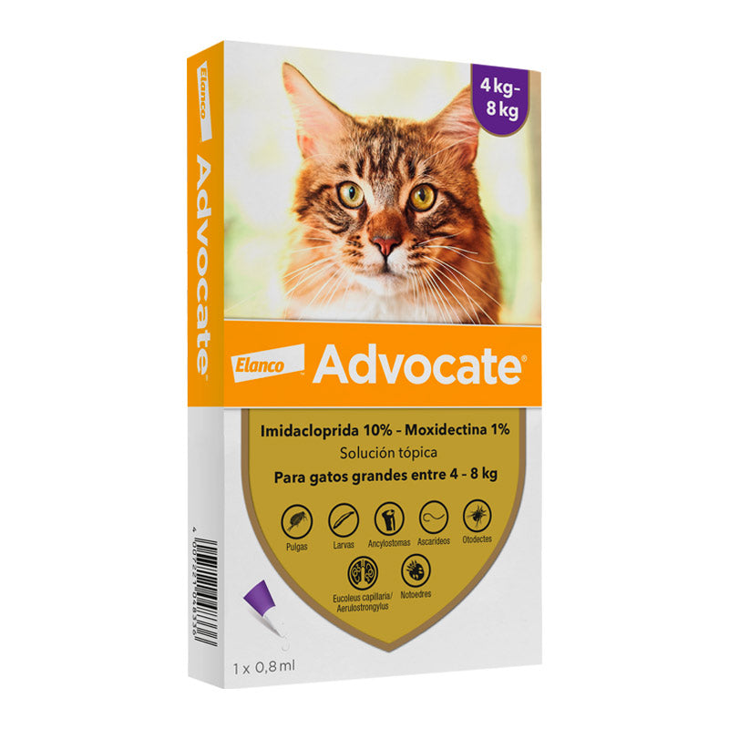 ADVOCATE GATOS 0,8ML 4-8KG